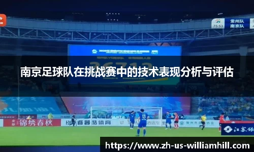 南京足球队在挑战赛中的技术表现分析与评估